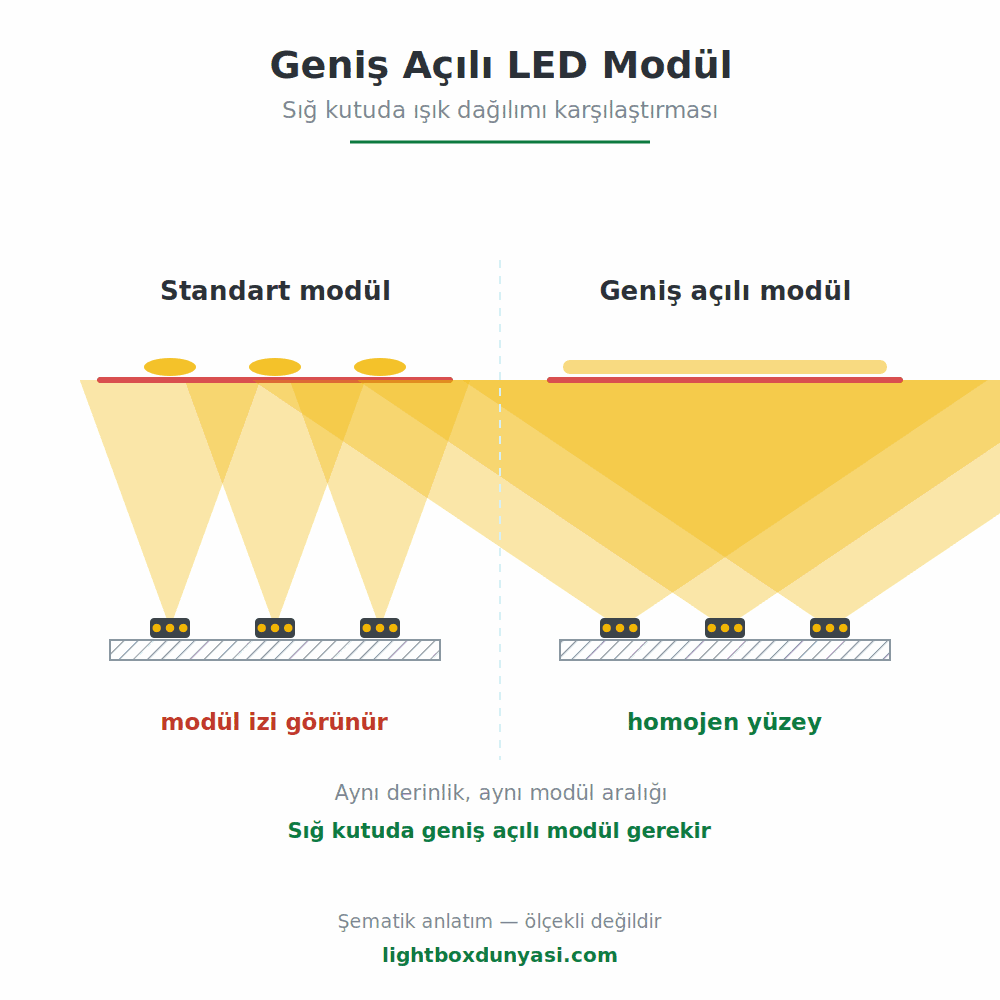 Geniş Açılı LED Modül - Lightbox Dünyası