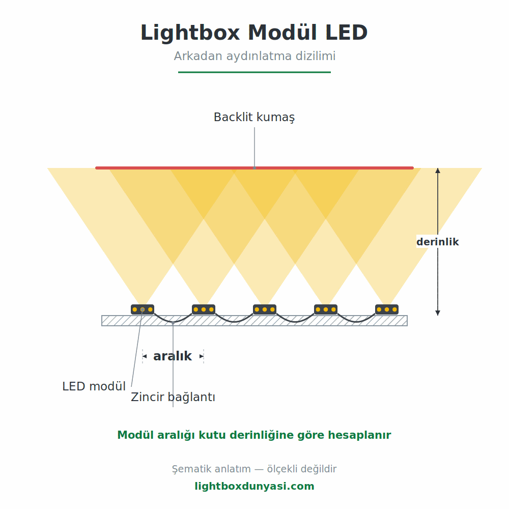 Lightbox Modül LED - Lightbox Dünyası