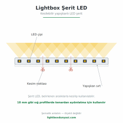 Lightbox Şerit LED
